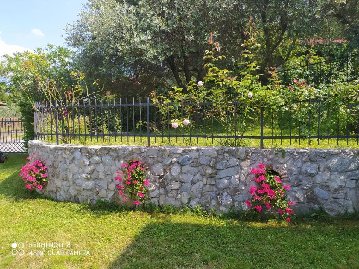 Mary Rose Apartments Oliveto Lario Bagian luar foto