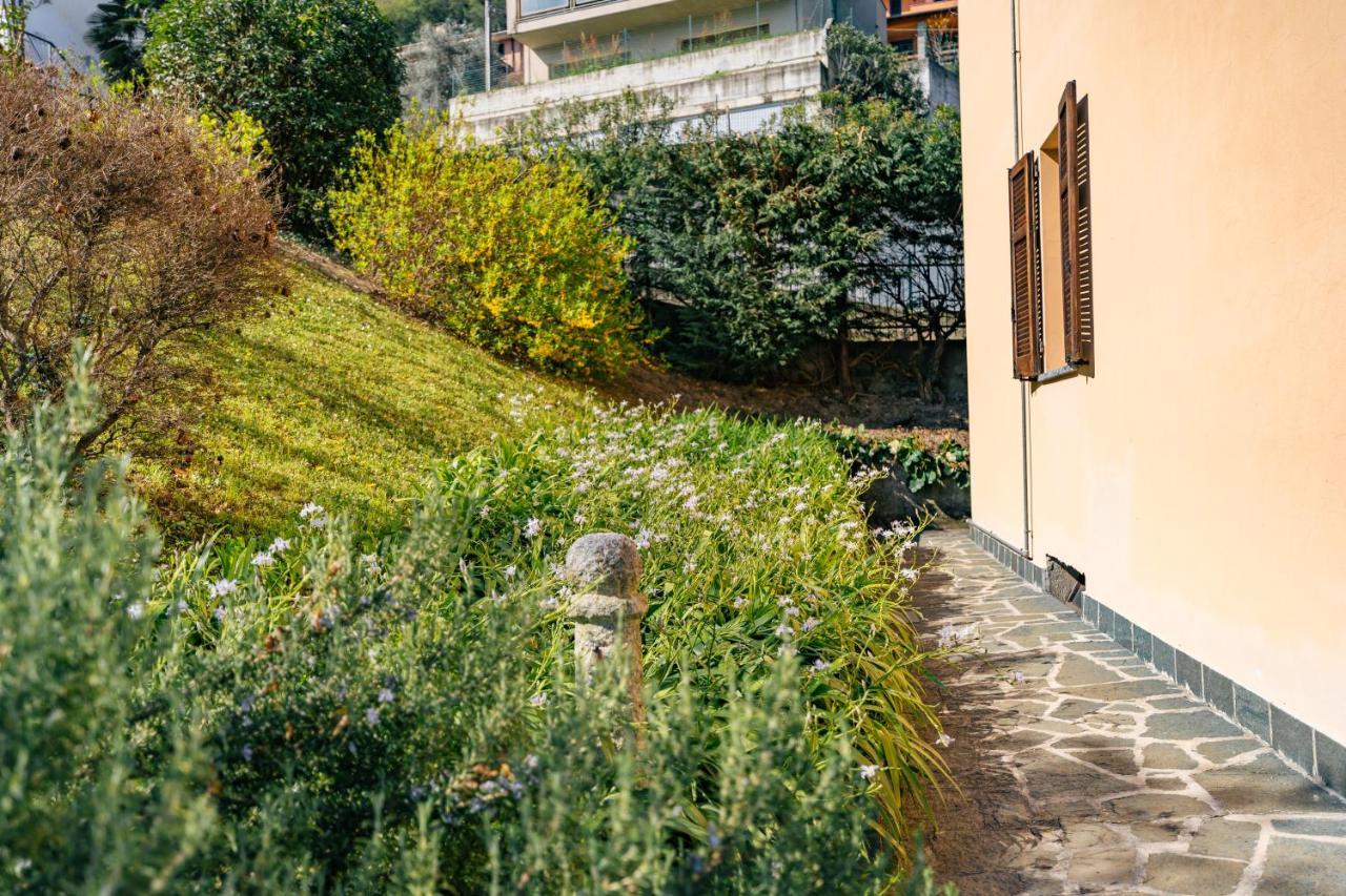 Mary Rose Apartments Oliveto Lario Bagian luar foto